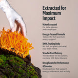 Cordyceps FreshCap: soutien à l'endurance lors d'efforts quotidiens ou sportifs.