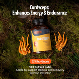 Cordyceps FreshCap: extrait hydrique pour meilleure biodisponibilité et vitalité.