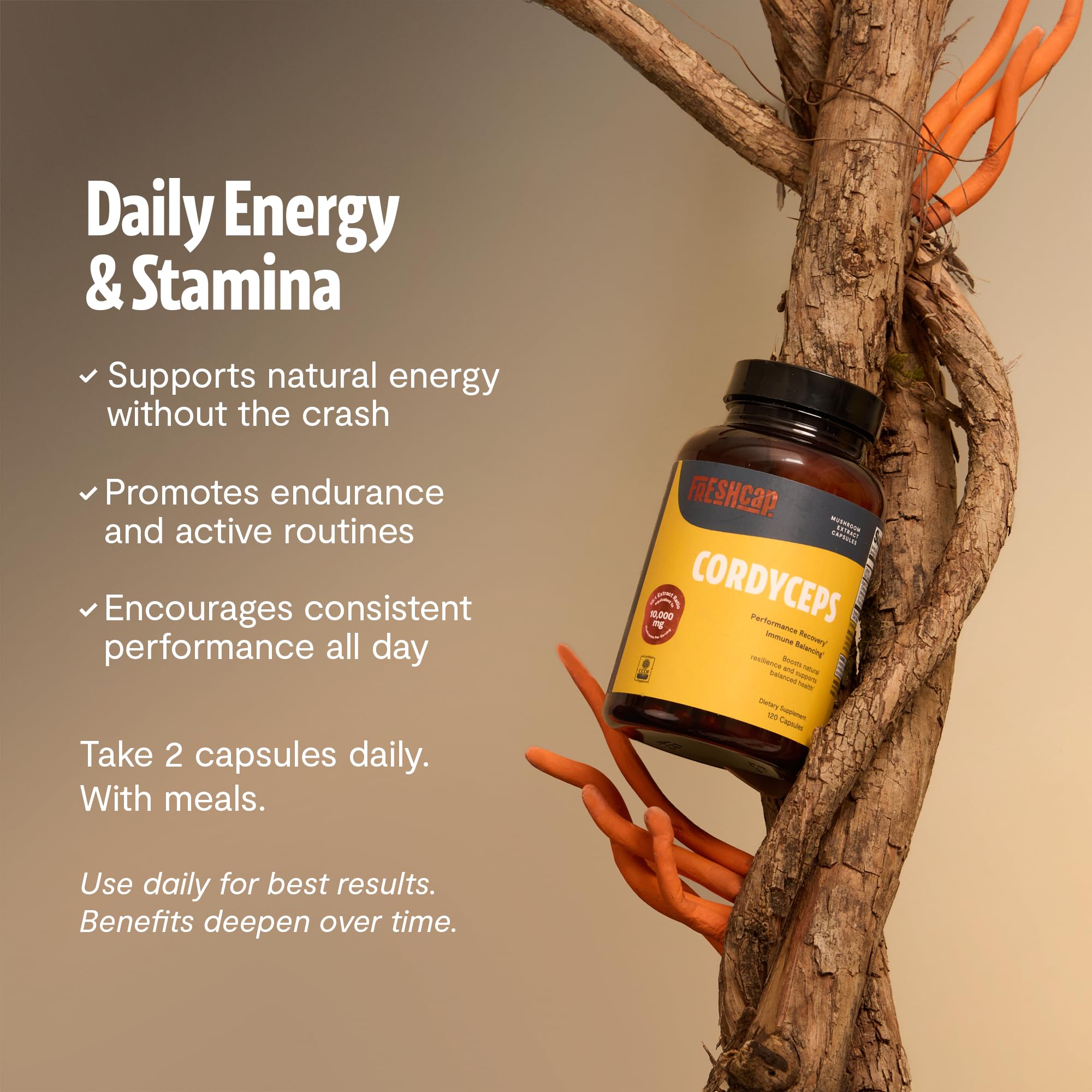 Cordyceps FreshCap: formule sans fillers, utilisation pure et efficace.