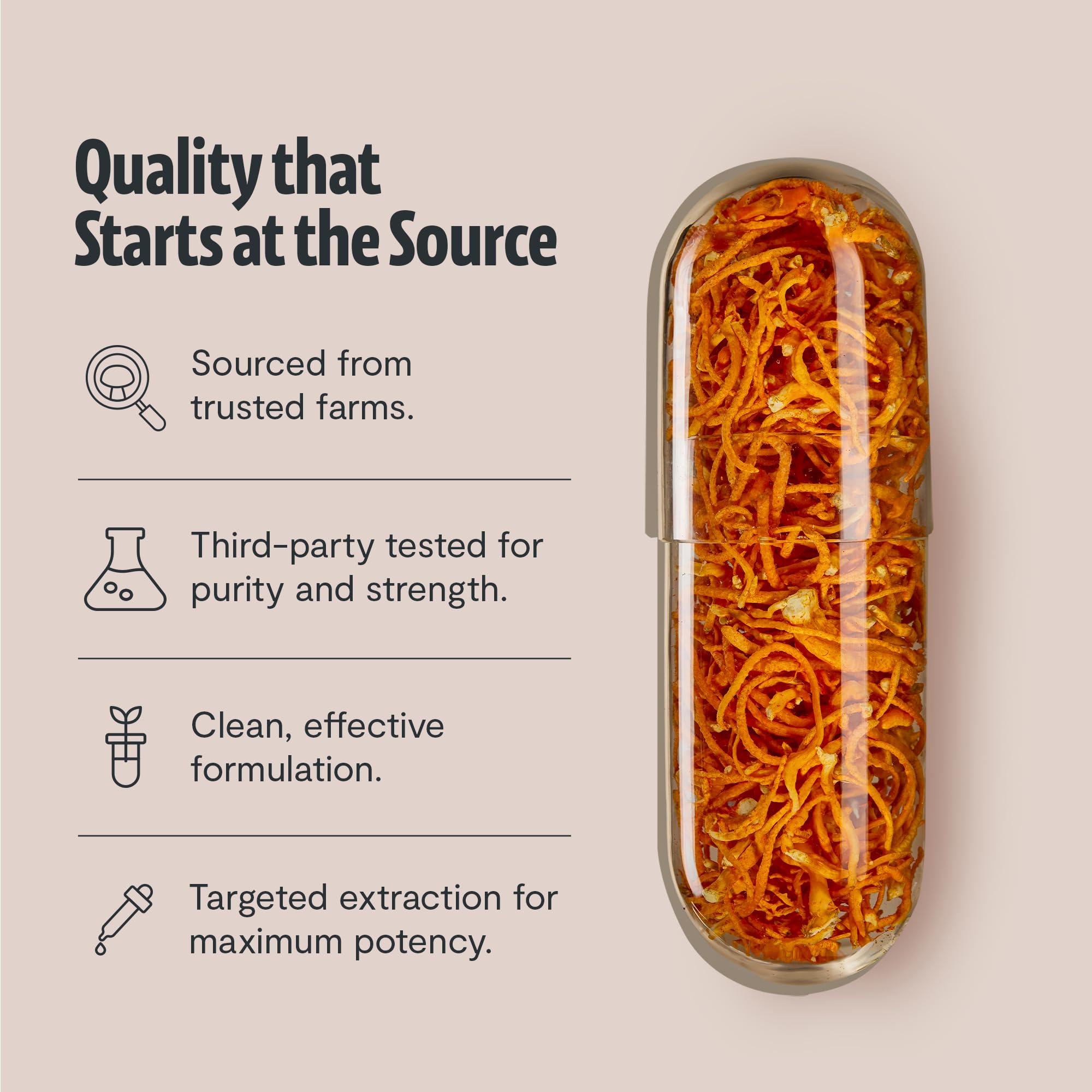 Cordyceps FreshCap: prise facile de deux capsules par jour.