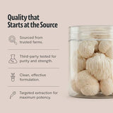 FreshCap Mushrooms criniere-de-lion poudre ingredients biologiques et pur.