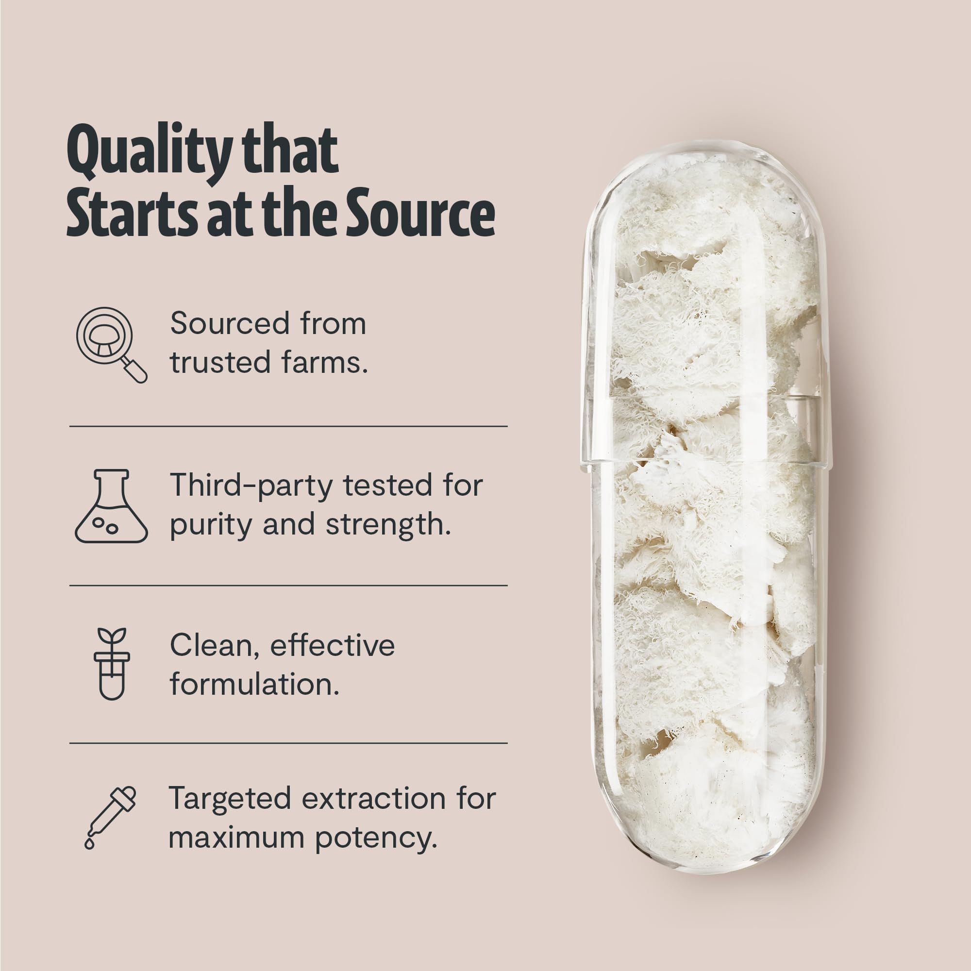 Capsules vegan sans gluten FreshCap Crinière de Lion pour routine.