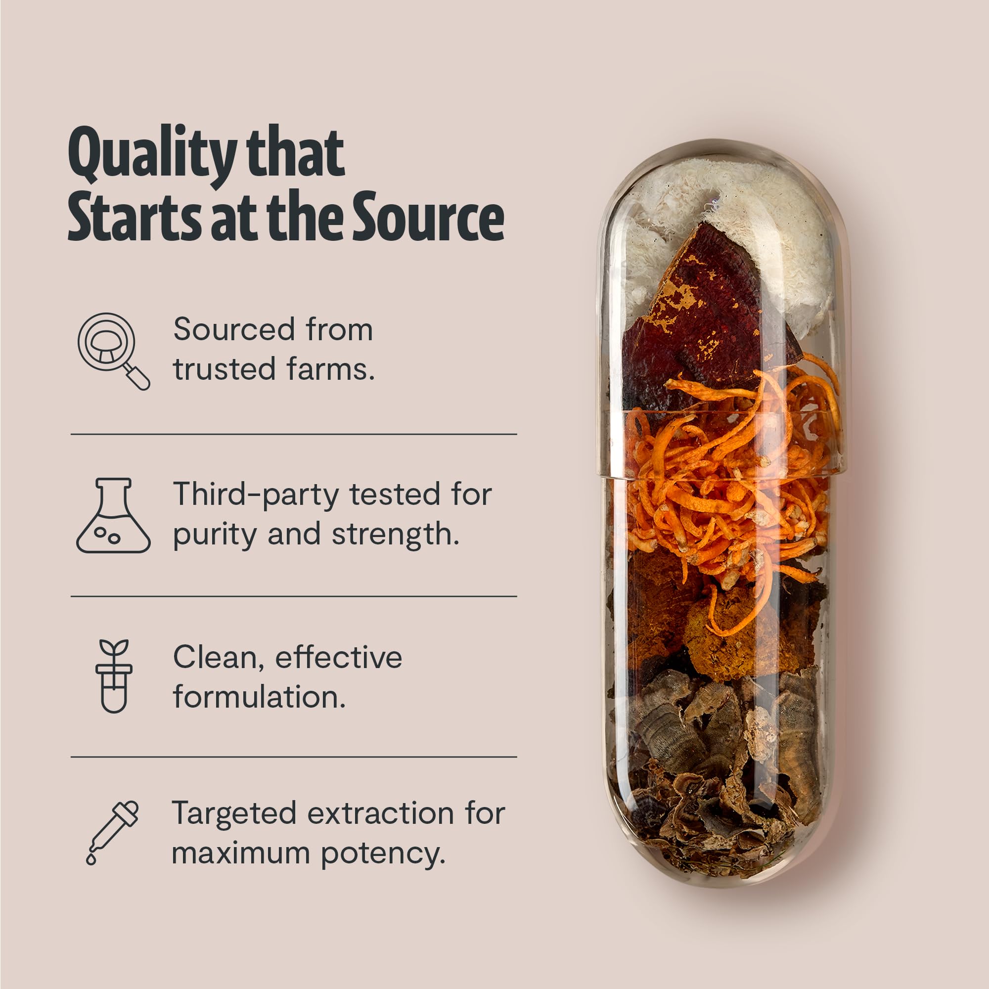 FreshCap Mushrooms: emballage biologique et certification CCOF.