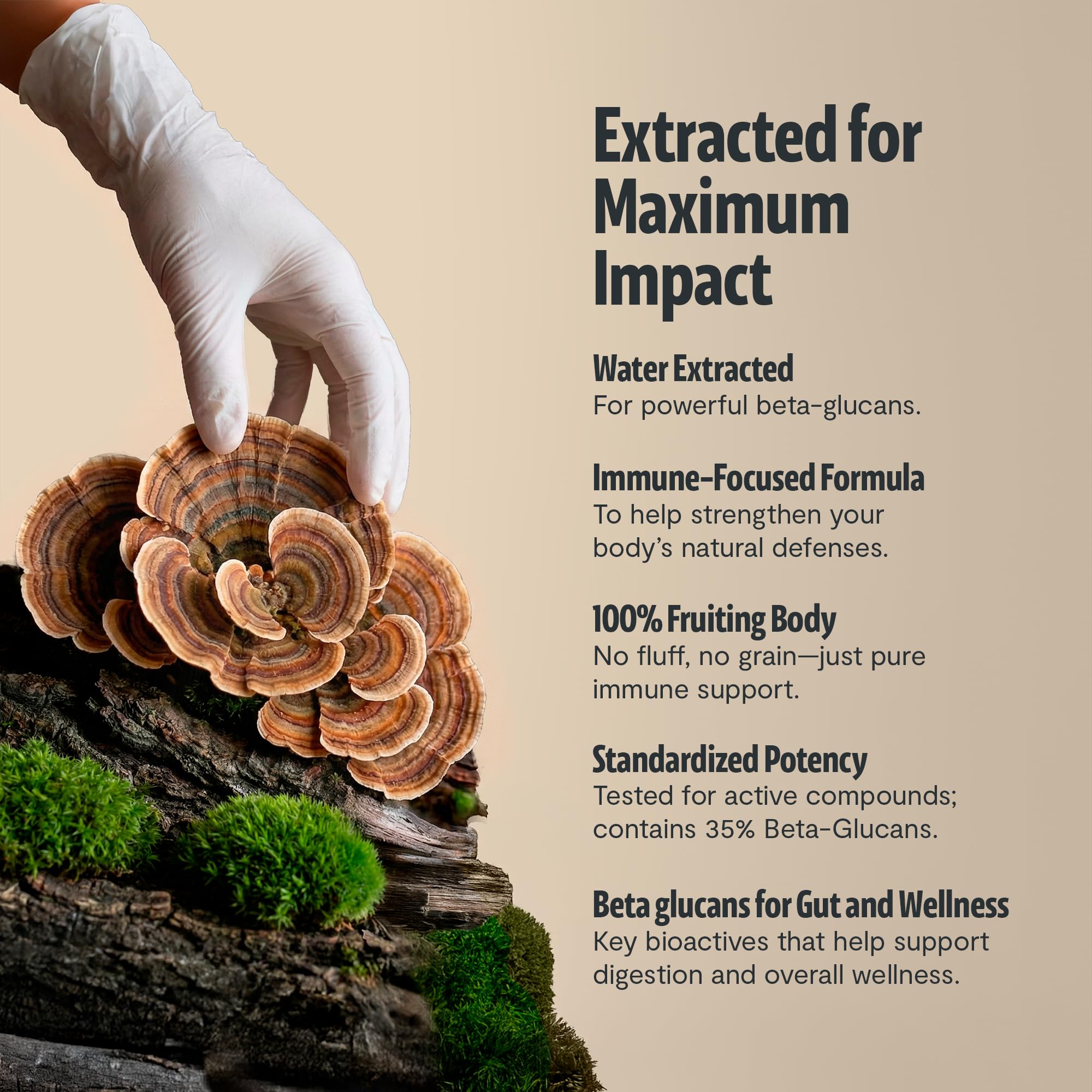 FreshCap Mushrooms – Étiquette bio certifiée CCOF – transparence des ingrédients
