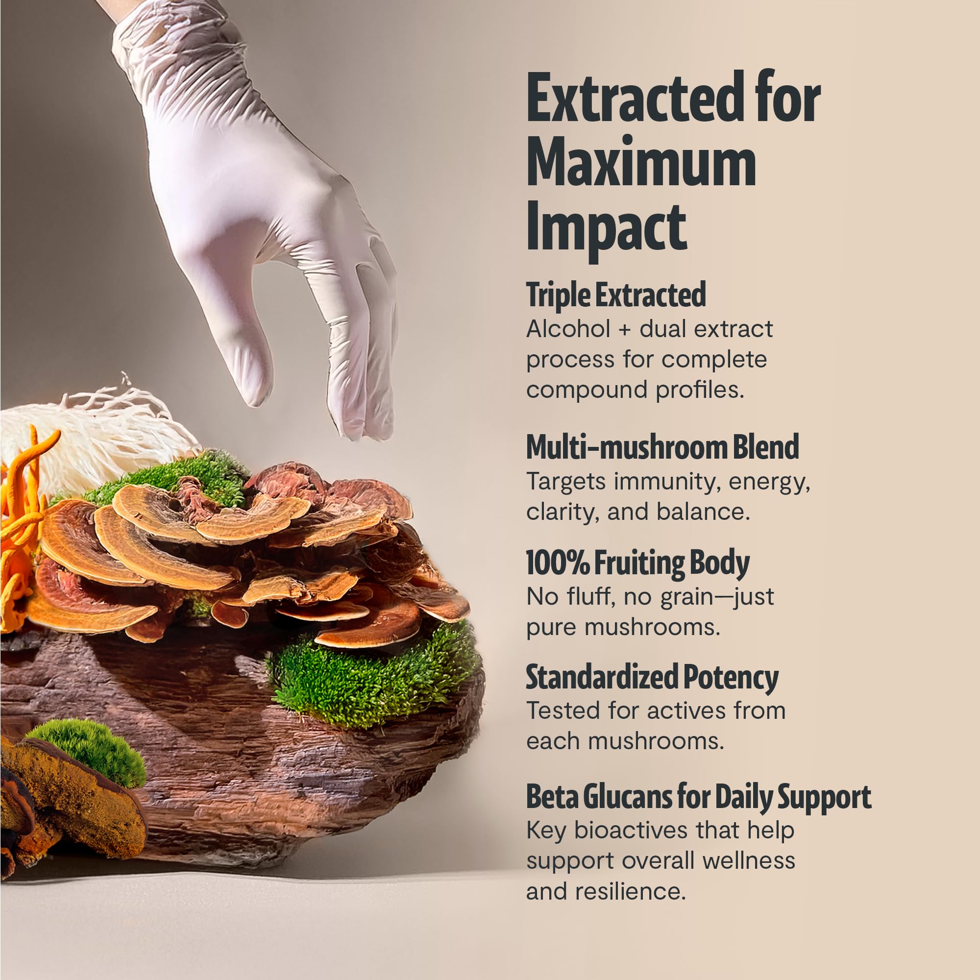 FreshCap Mushrooms: étiquette bio certifiée et transparence des ingrédients.