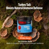 Extrait tramète-versicolore FreshCap Mushrooms 10:1 pour meilleure biodisponibilité