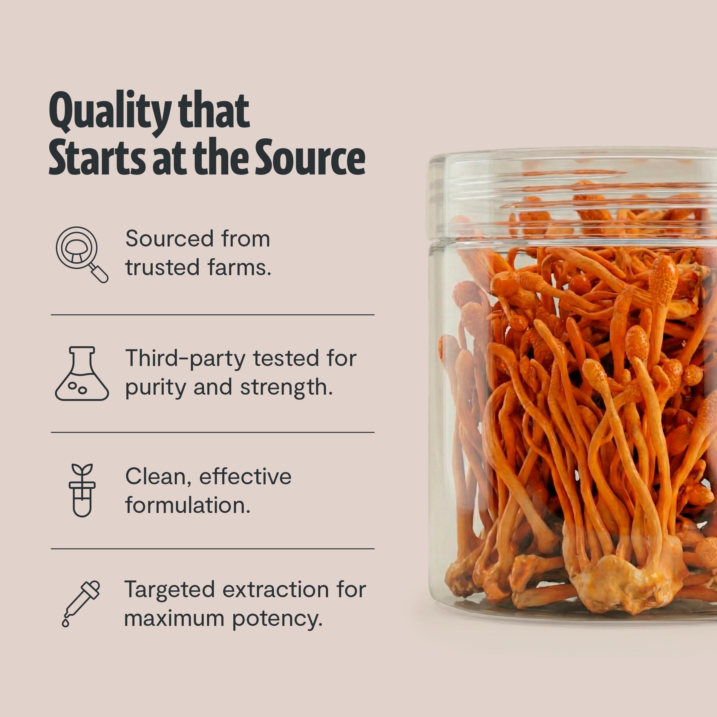 Cordyceps nootropique FreshCap Mushrooms en poudre soutient concentration.