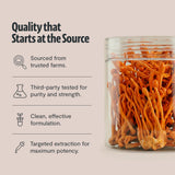 Cordyceps nootropique FreshCap Mushrooms en poudre soutient concentration.