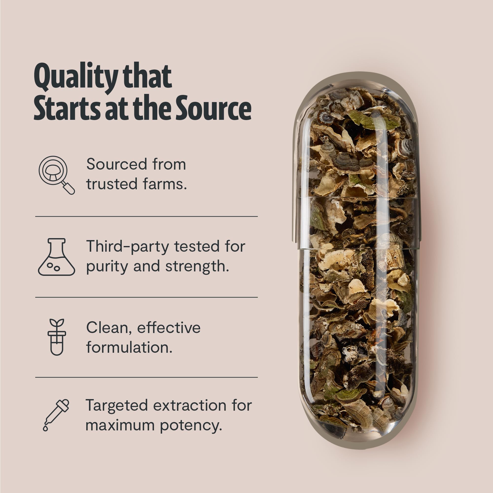 FreshCap Mushrooms – Utilisation quotidienne avec eau – intégration pratique
