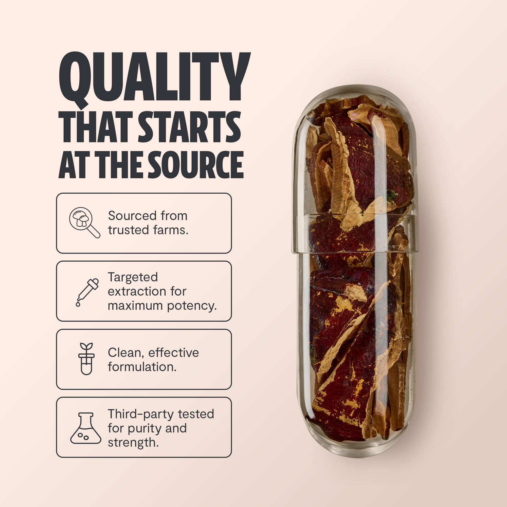 FreshCap Reishi - Fiche d’ingrédients et étiquettes pour la traçabilité.