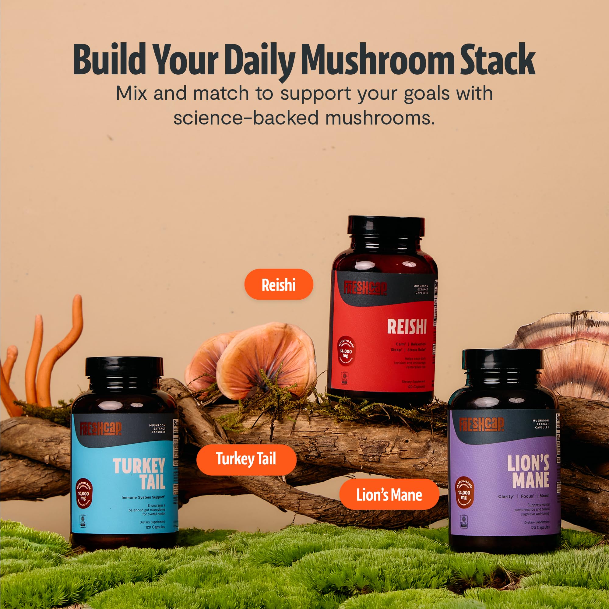 FreshCap Mushrooms – Routine de bien-être quotiden – gélules faciles à prendre