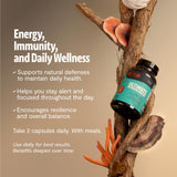 FreshCap Mushrooms: capsules sans charges et sans remplissages.