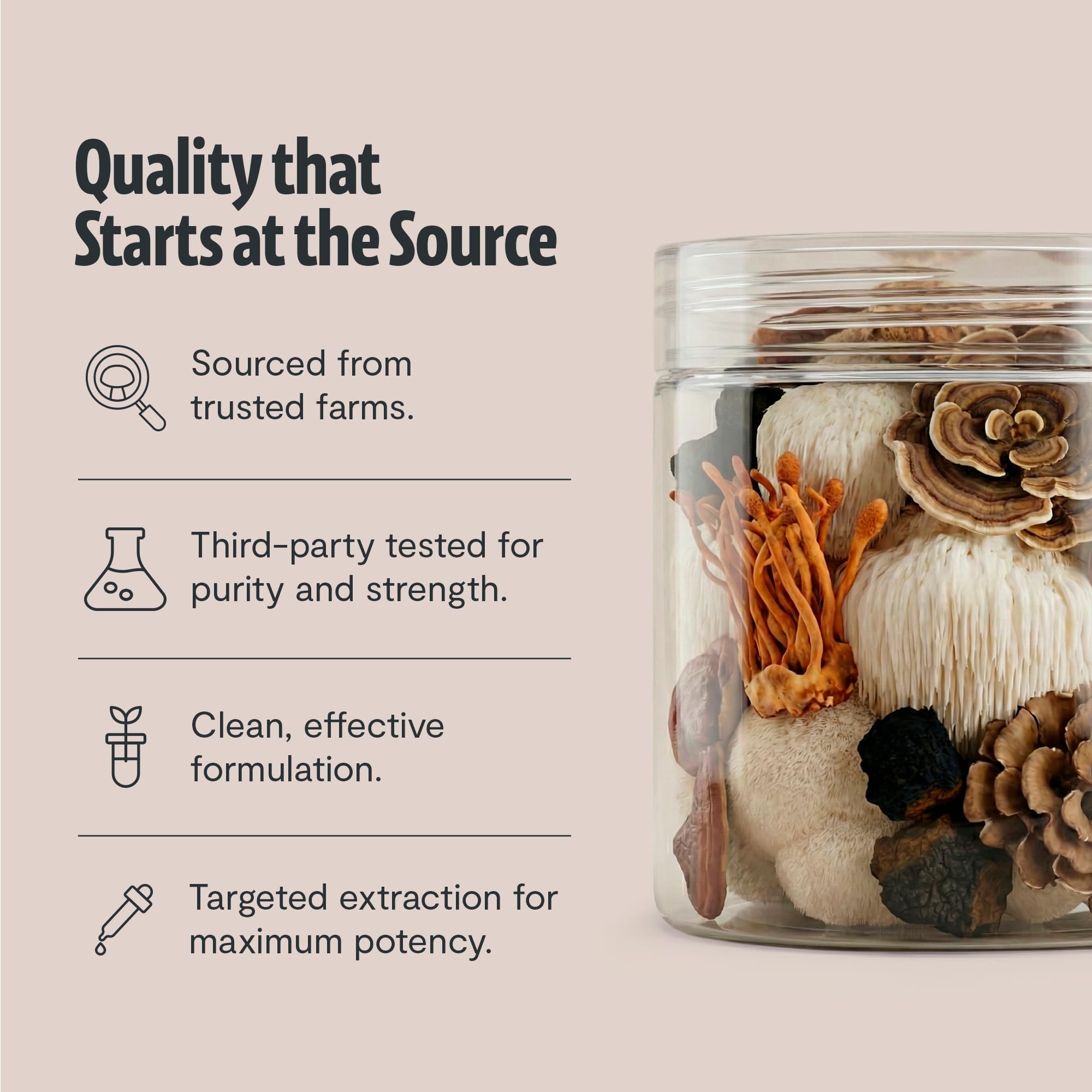 Usage quotidien simple pour une routine durable.