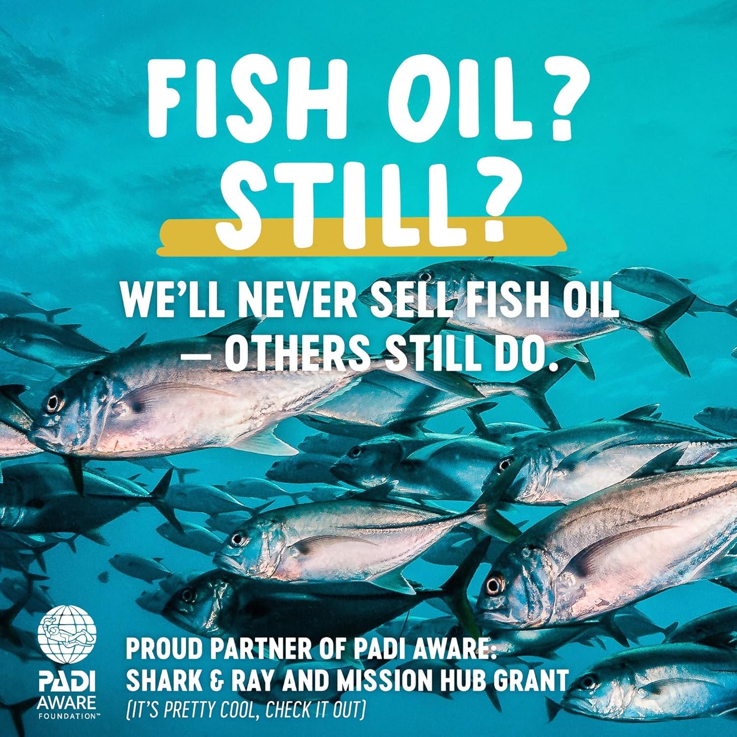 Freshfield Omega-3 algue gélules-vegan: prise quotidienne pour une source végétale d'acides gras