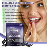 Fristfei Shilajit Gommes – endurance-energie, soutien à l'effort quotidien.