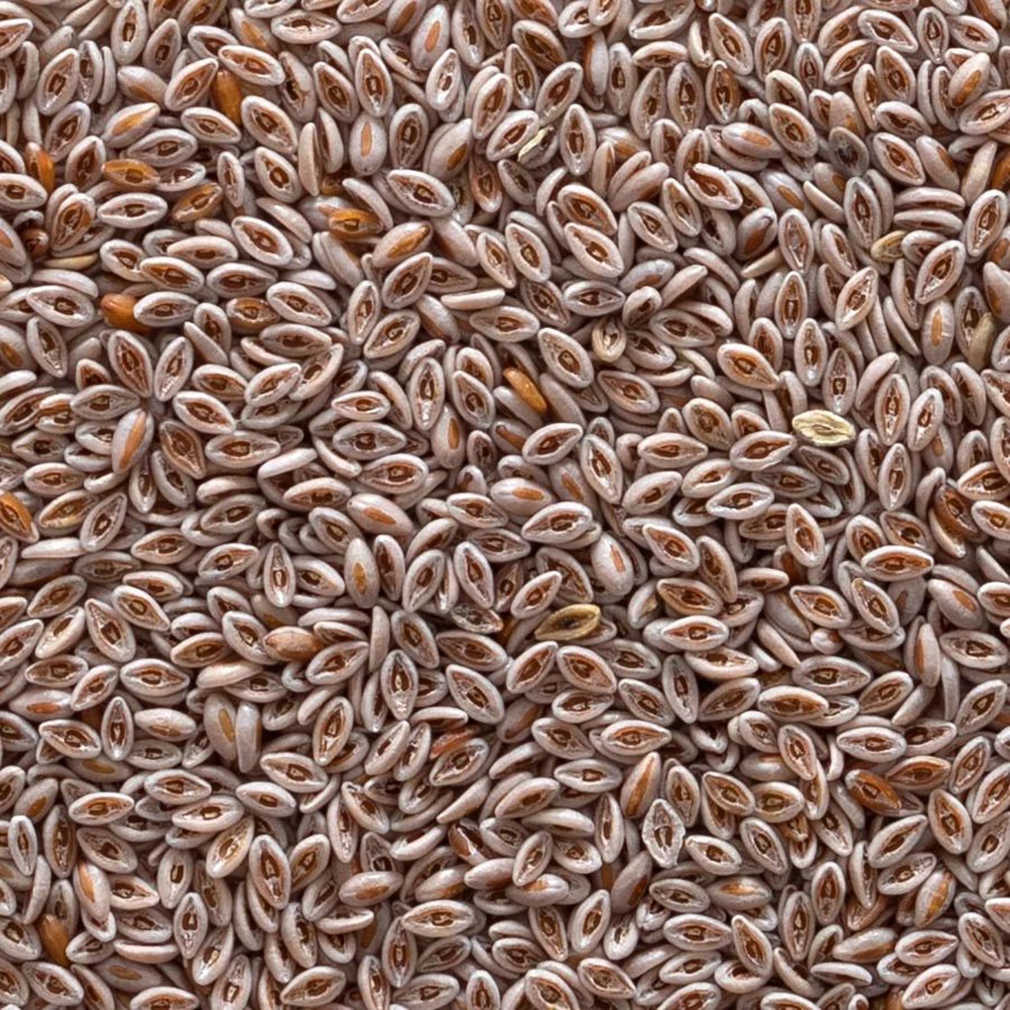 Psyllium entier biologique Frontier Co-op, utilisation en cuisine, fibres ajoutées.