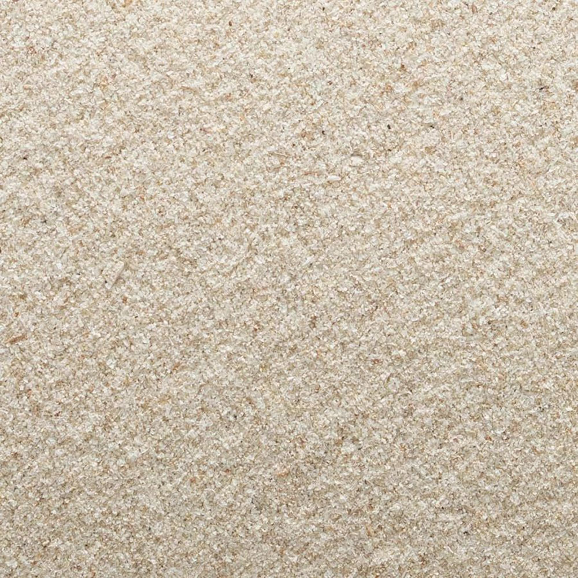 Frontier Co-op Poudre psyllium biologique — texture lisse, parfait pour épaissir soupes et purées.