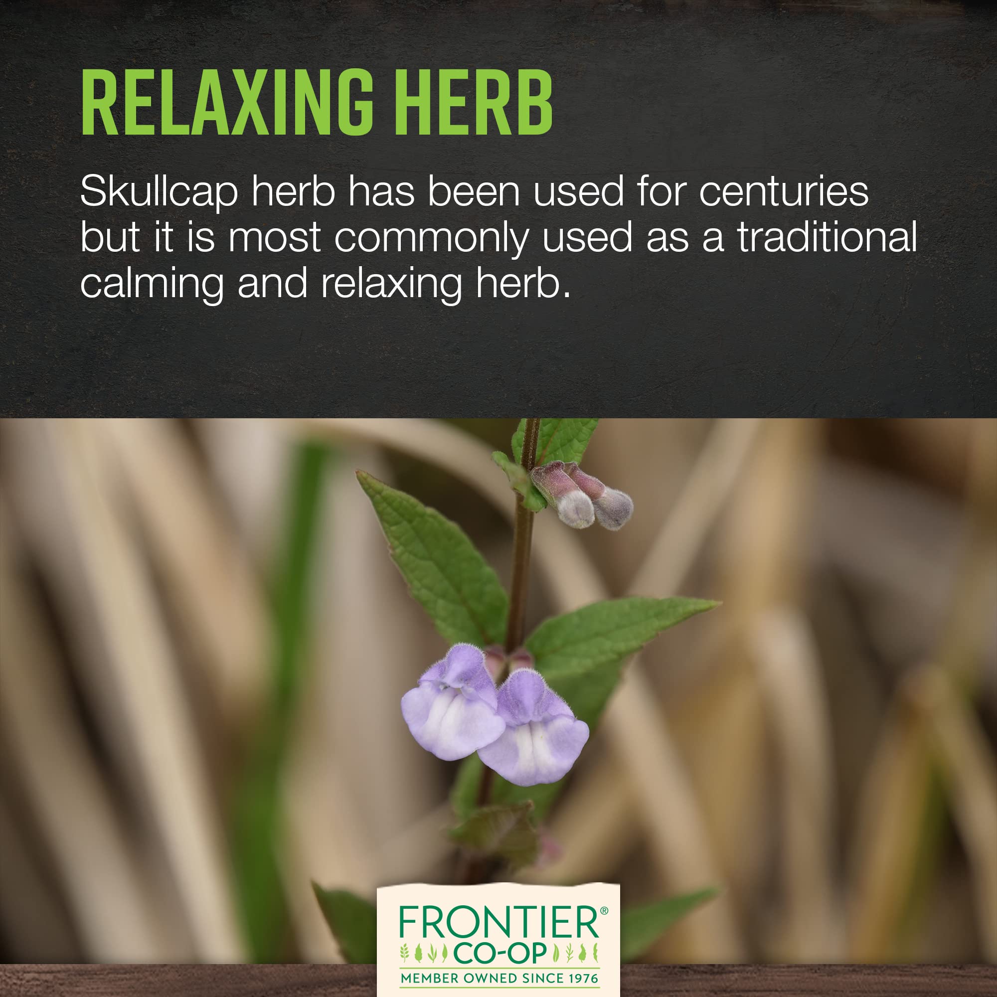 Frontier Co-op Skullcap: usage polyvalent en tisane et compléments faits maison.