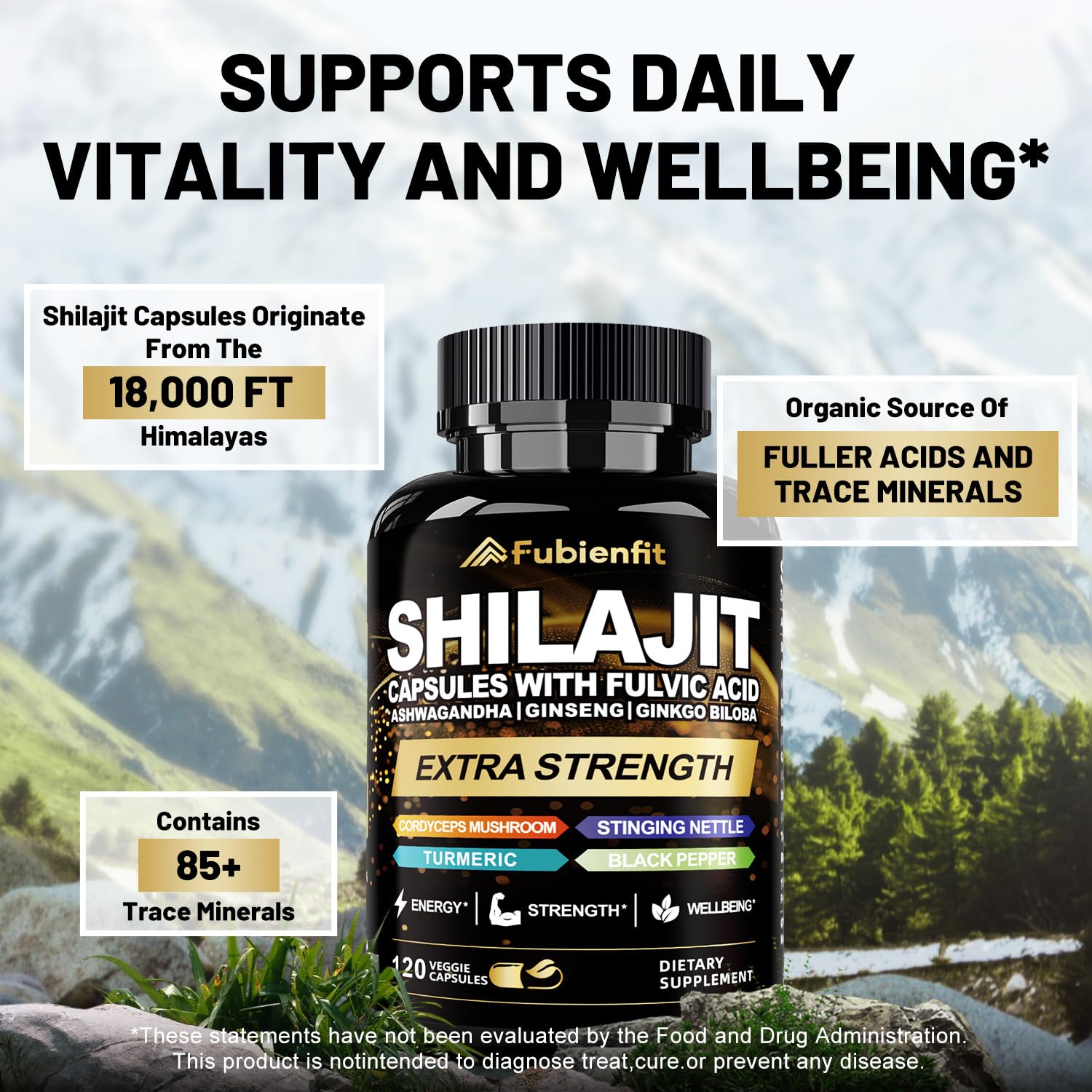 Extrait acide fulvique dans Fubienfit Shilajit favorisant l’absorption des minéraux.