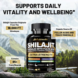 Extrait acide fulvique dans Fubienfit Shilajit favorisant l’absorption des minéraux.
