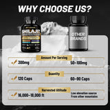 Formule végétarienne sans gluten et sans OGM pour Fubienfit Shilajit.
