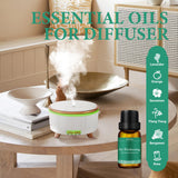 FUHITIM coffret cadeau huiles essentielles design élégant pour offrir.