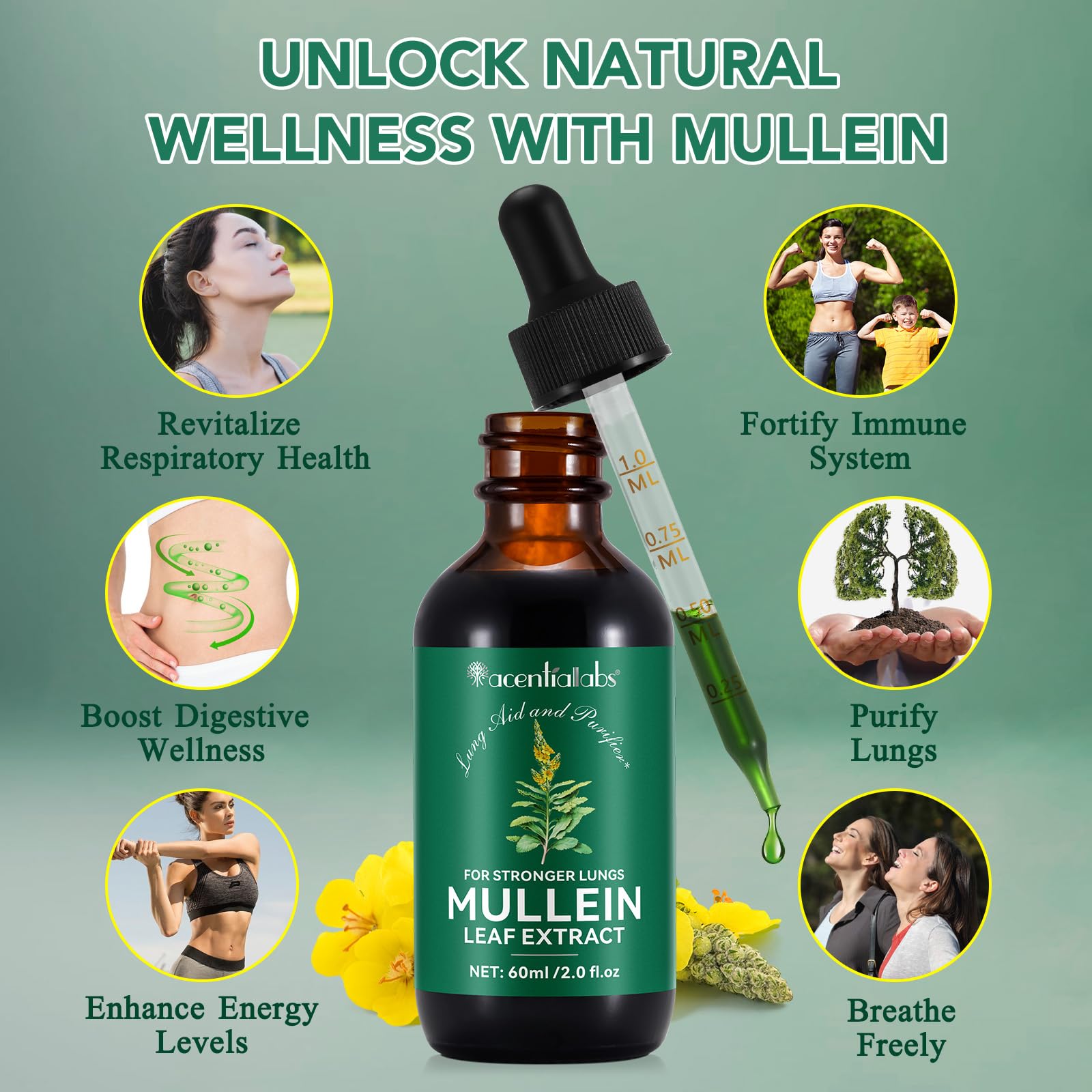 Contenu liquide mullein FUKEVY, formulation concentrée pour une expérience naturelle