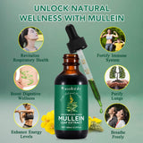 Contenu liquide mullein FUKEVY, formulation concentrée pour une expérience naturelle