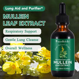 Gouttes mullein FUKEVY avec pipette, absorption rapide possible