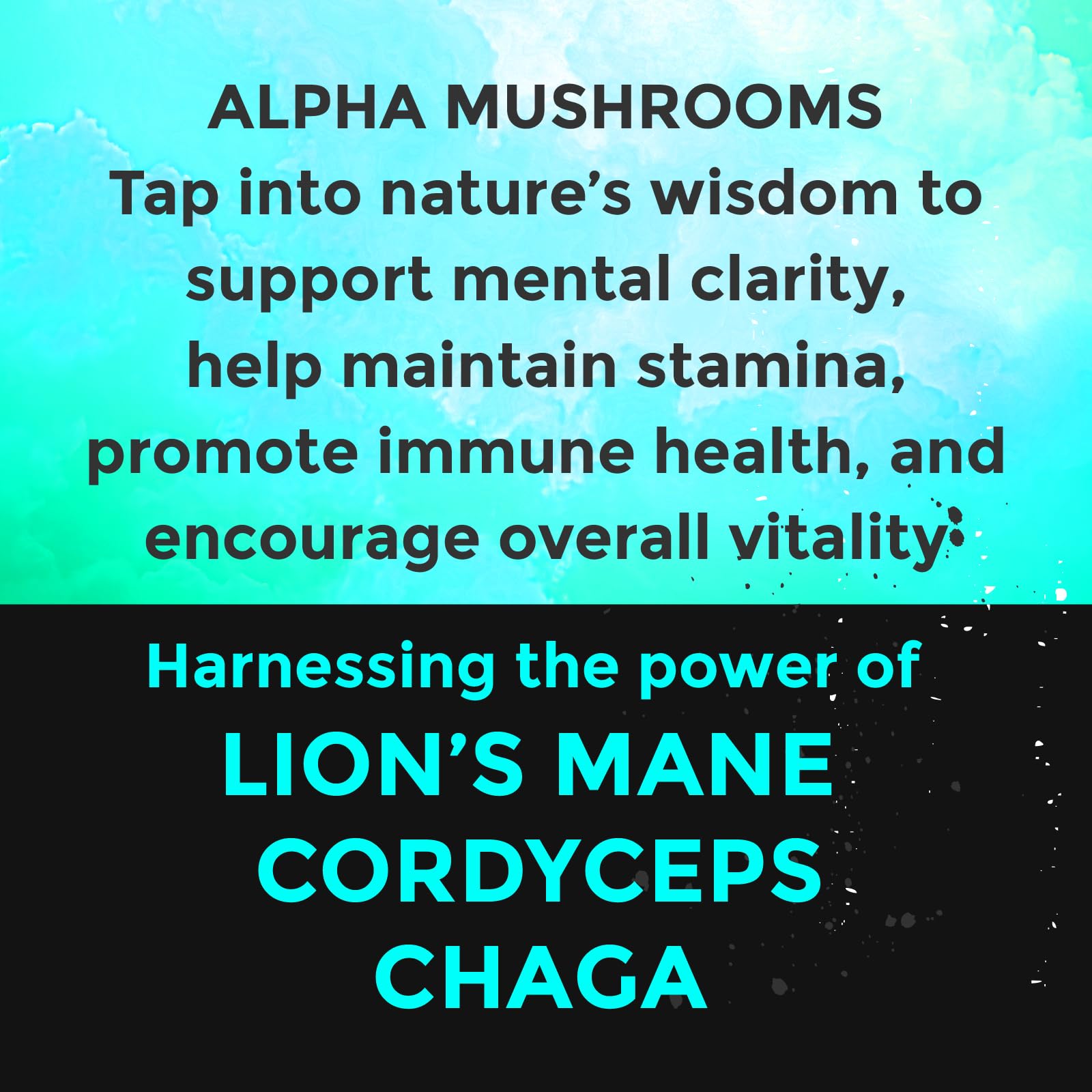 Fully Loaded Bullseye Alpha Mushroom Poche – commodité discrète au quotidien