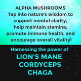 Fully Loaded Bullseye Alpha Mushroom Poche – commodité discrète au quotidien