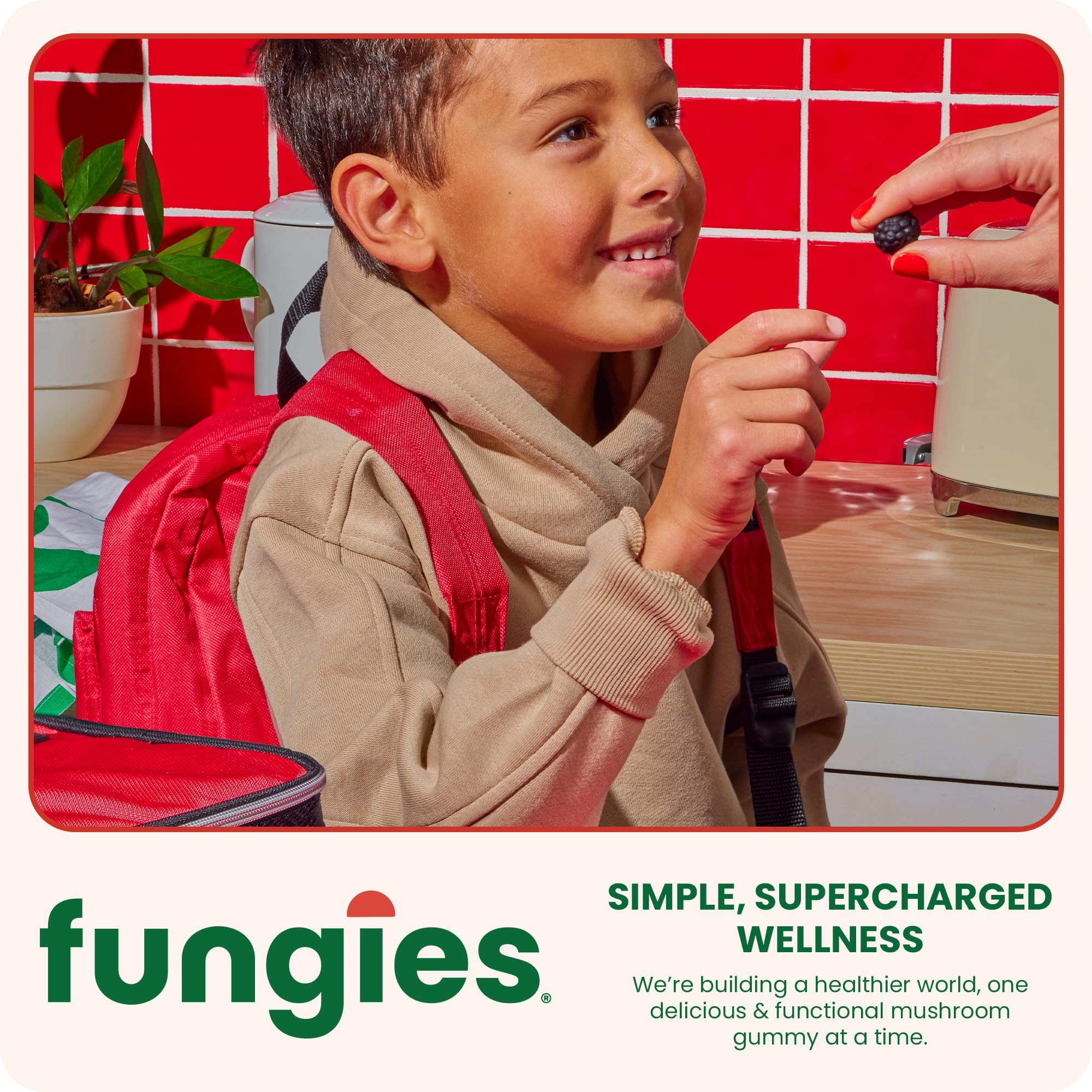 Gommes vegan Fungies Crinière de Lion sans additifs pour une option saine.