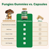 Fungies Multi-Champignons gummies : à déguster au travail, concentration légère possible