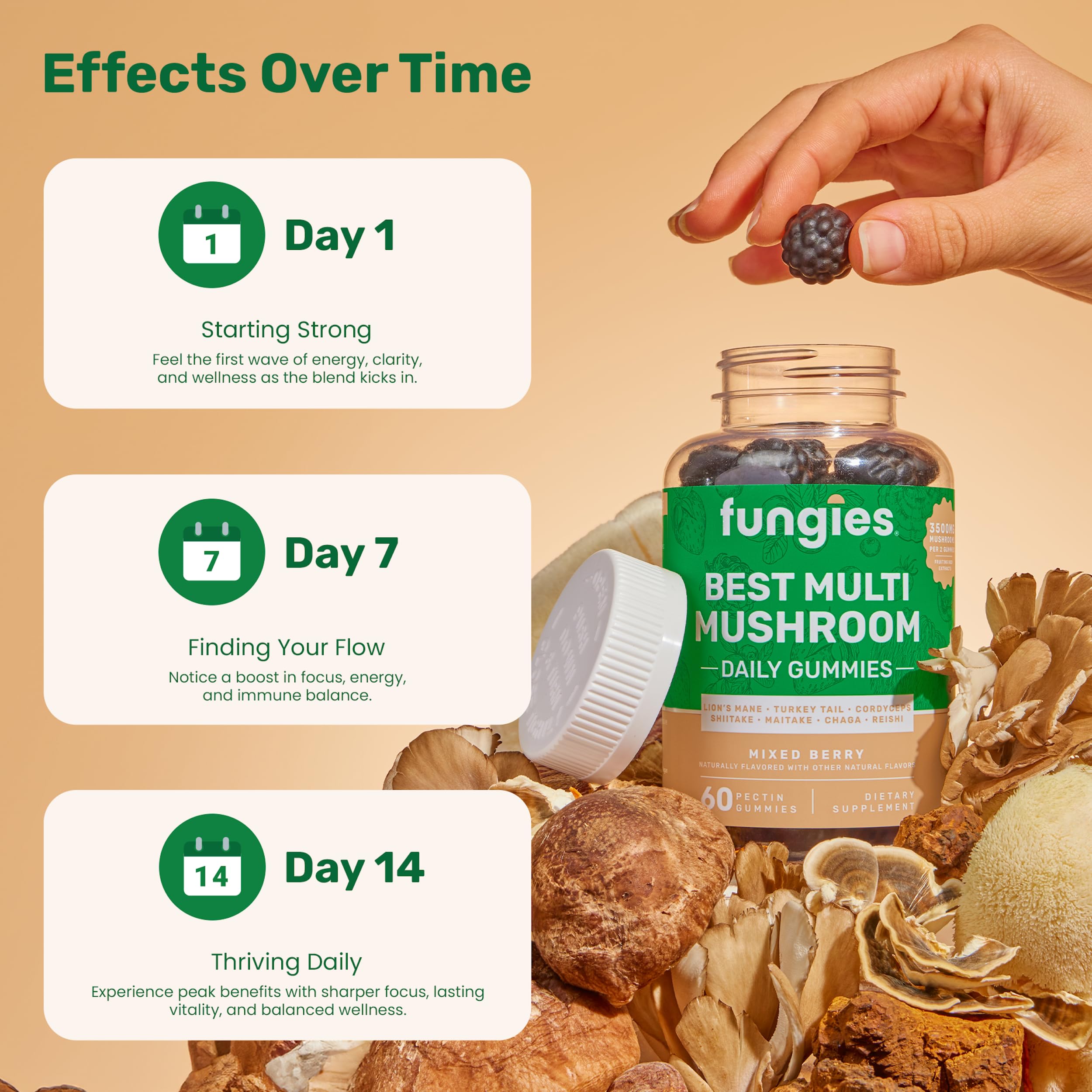 Fungies Multi-Champignons gummies : emballage vegan sans gluten, choix responsable pour votre routine