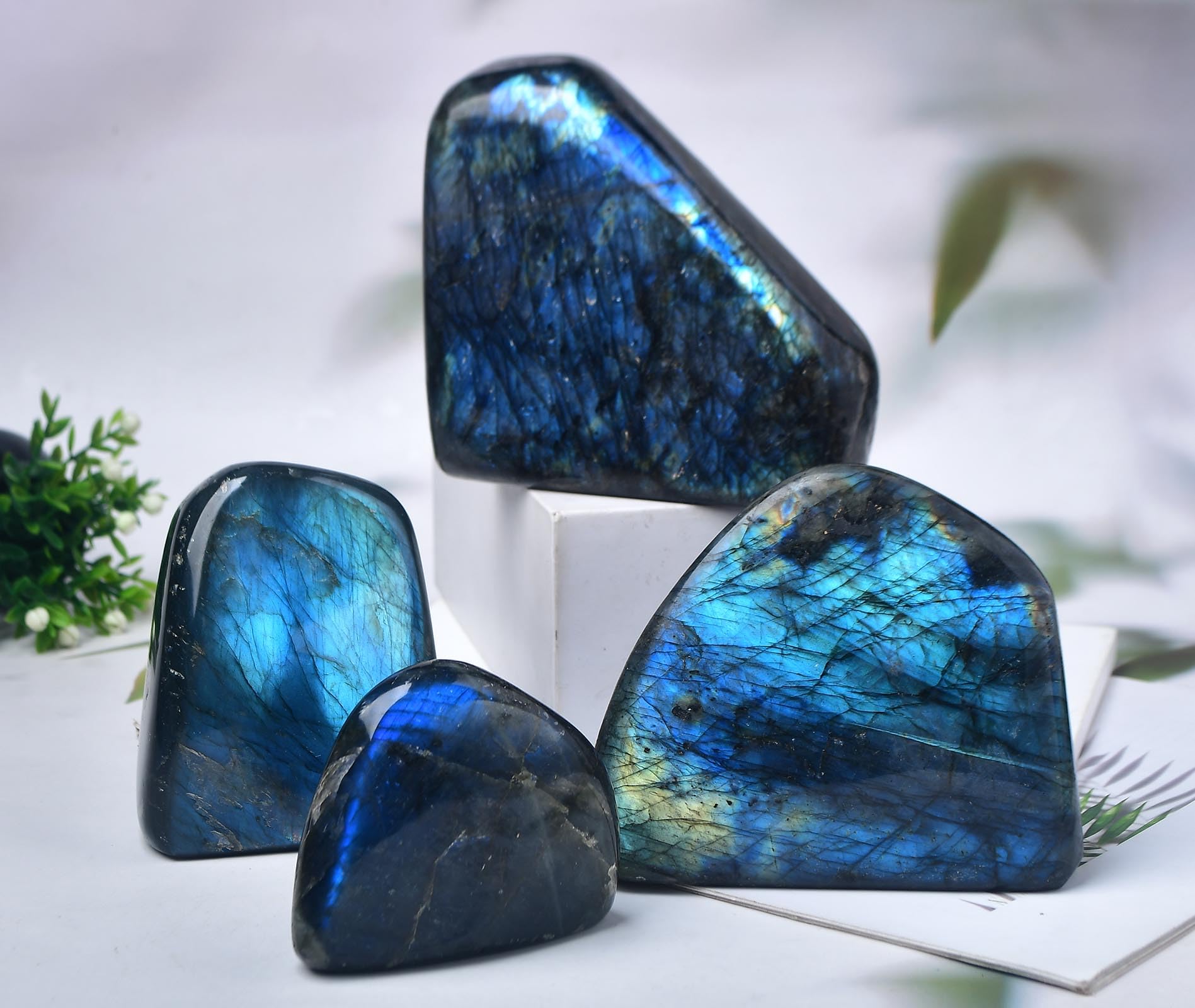 FZBHRO Labradorite cadeau parfait pour débutants et passionnés.