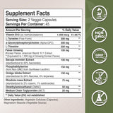 GADE NUTRITION L-Tyrosine et L-Theanine, duo, concentration et calme contrôlé