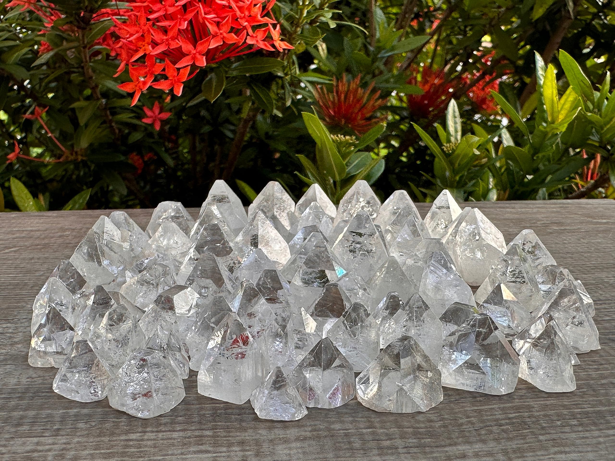 GAF TREASURES Apophyllite-collection-petite: assortiment précieux pour une mini galerie.