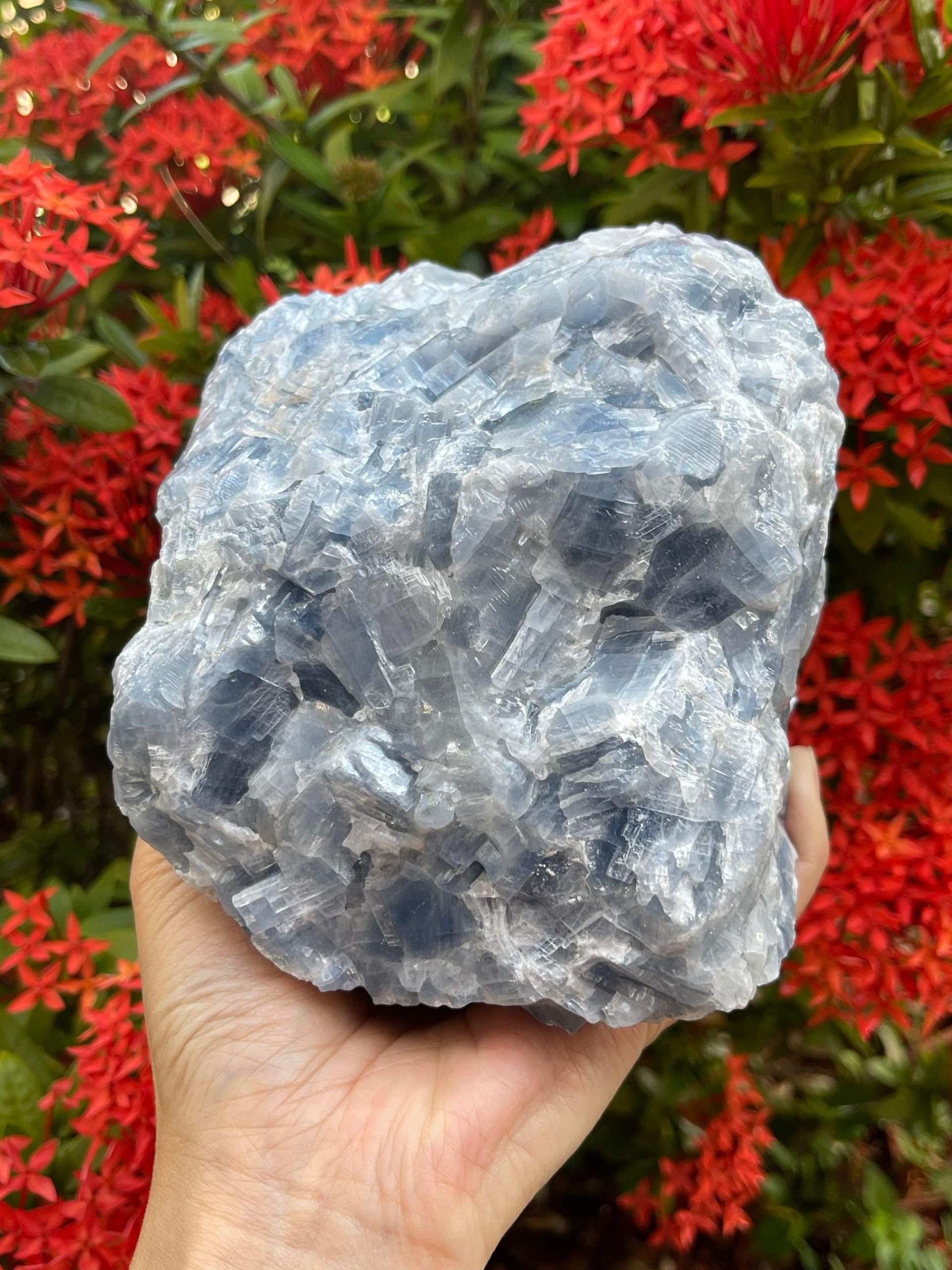 Calcite bleue brute GAF TREASURES, extrait naturel pour décoration et concentration.