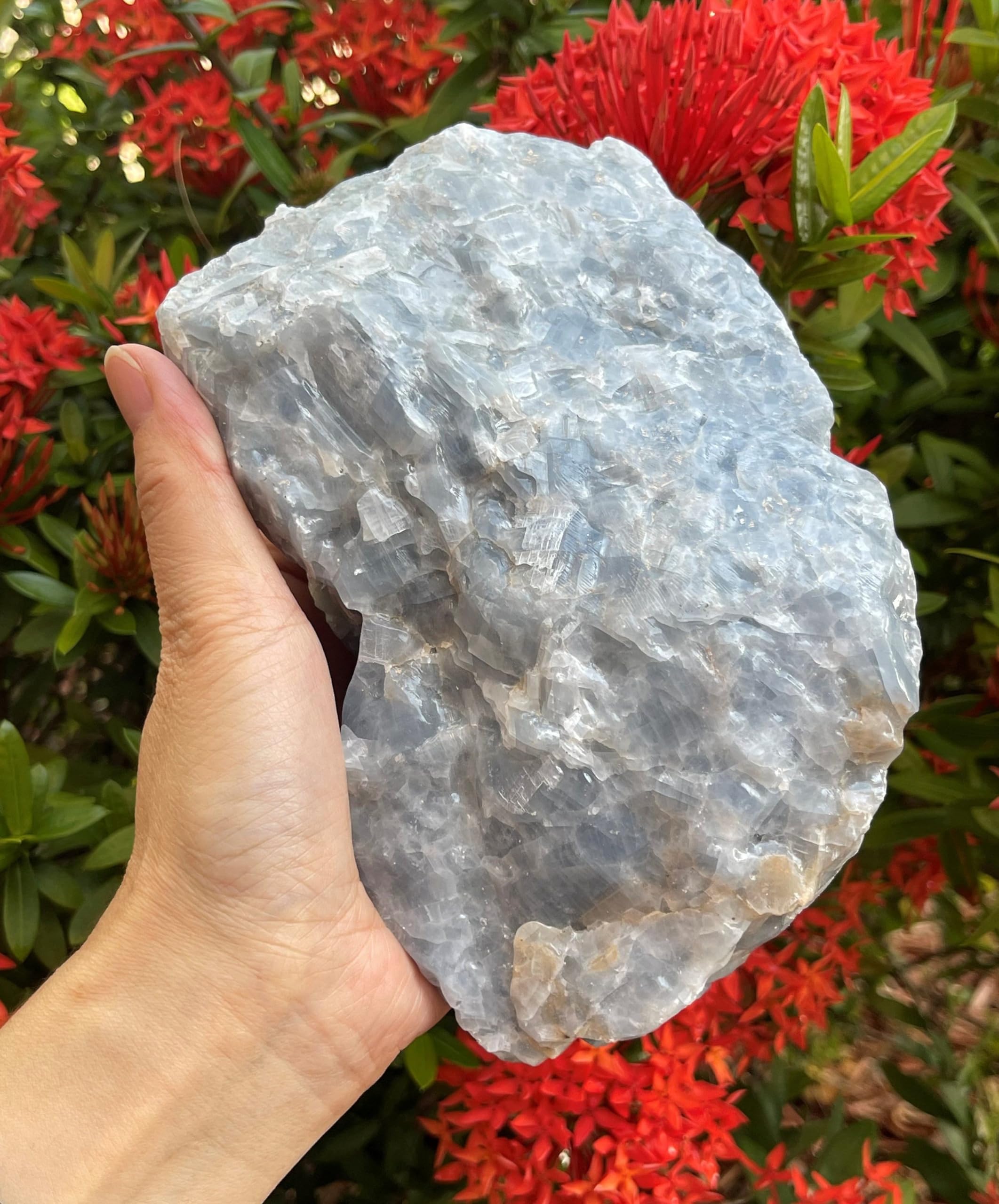 Calcite bleue brute GAF TREASURES, choix pour thérapie énergétique et décor zen.
