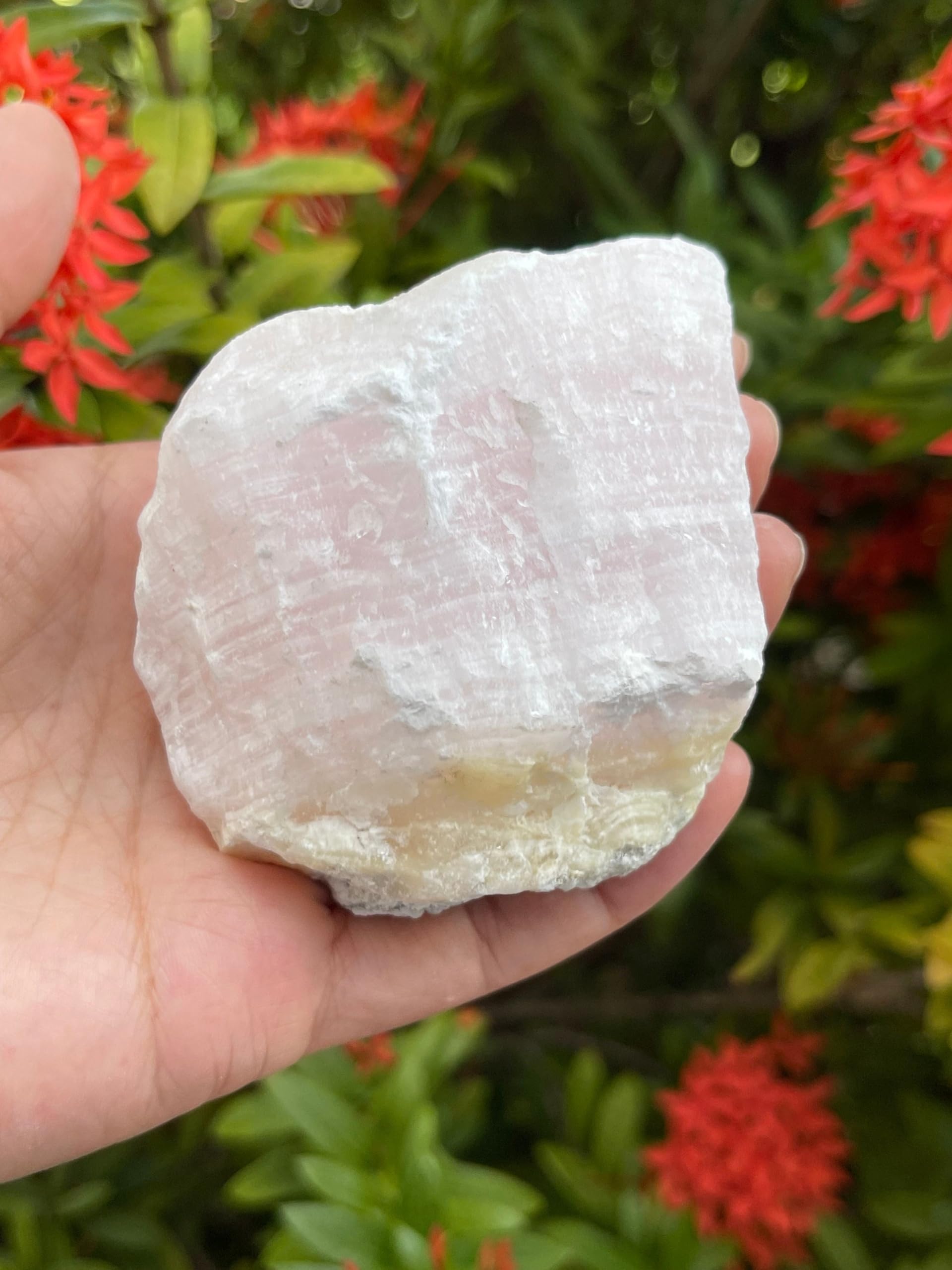 Calcite rose GAF TREASURES naturelle, nuances variables, parfait pour décoration et méditation.