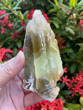 Calcite verte brute par GAF Treasures, prête pour le polissage et l’affichage