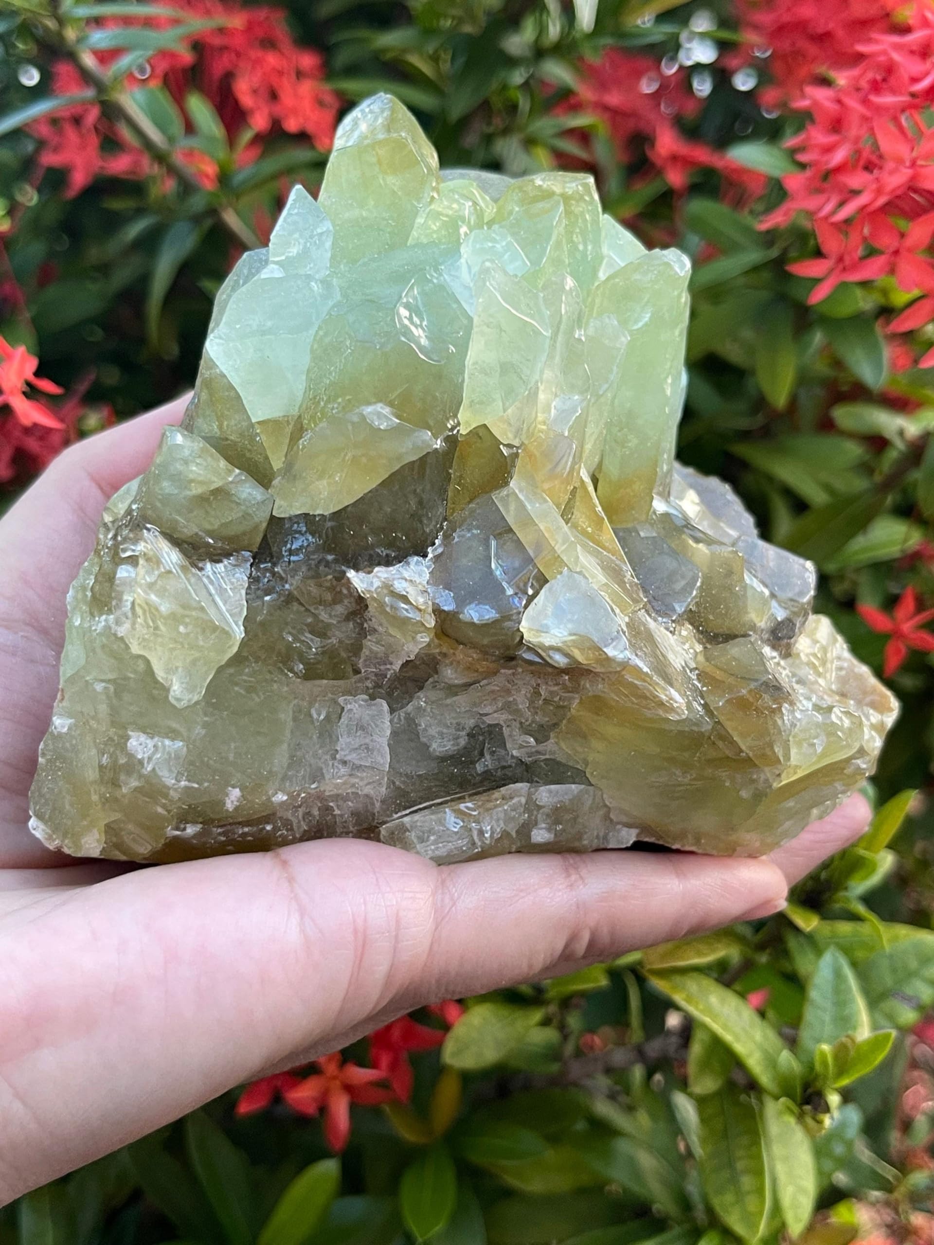 GAF Treasures Calcite verte brute en grand bloc, idéal pour cabbing
