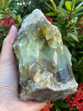 Calcite verte brute GAF Treasures, couleur unique pour display décoratif