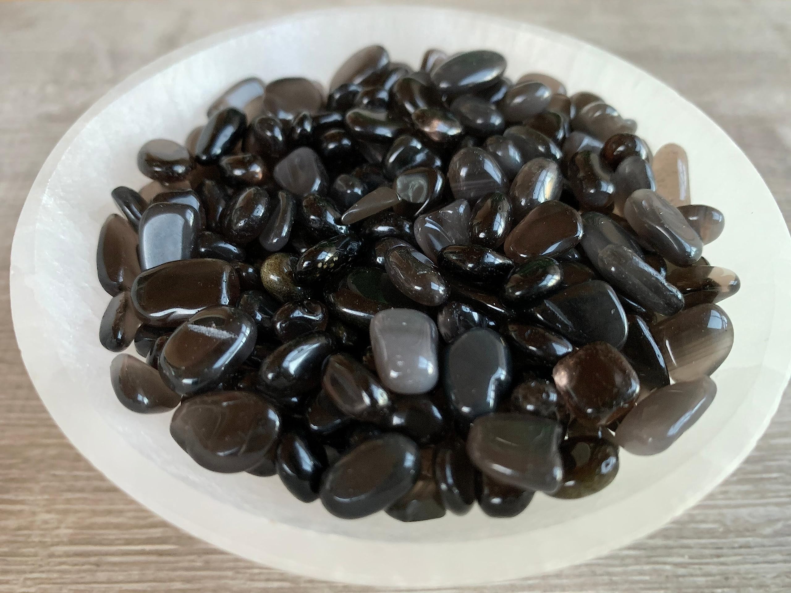 GAF TREASURES galets obsidienne noire polies semi pour terrariums