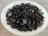 GAF TREASURES galets obsidienne noire polies semi pour terrariums