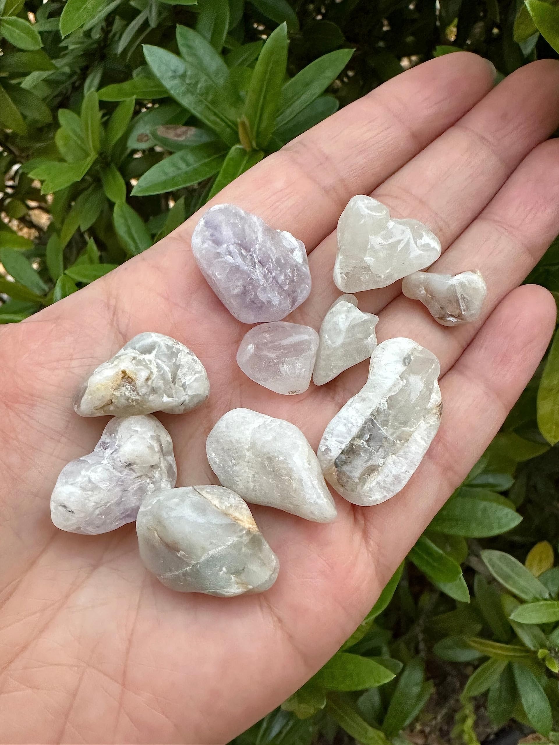Lot de 1/8 livre quartz esprit, idéal pour arbres de gemmes