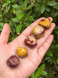 GAF TREASURES Mookaite pierres polies en lot demi-livre, pratique et polyvalent.