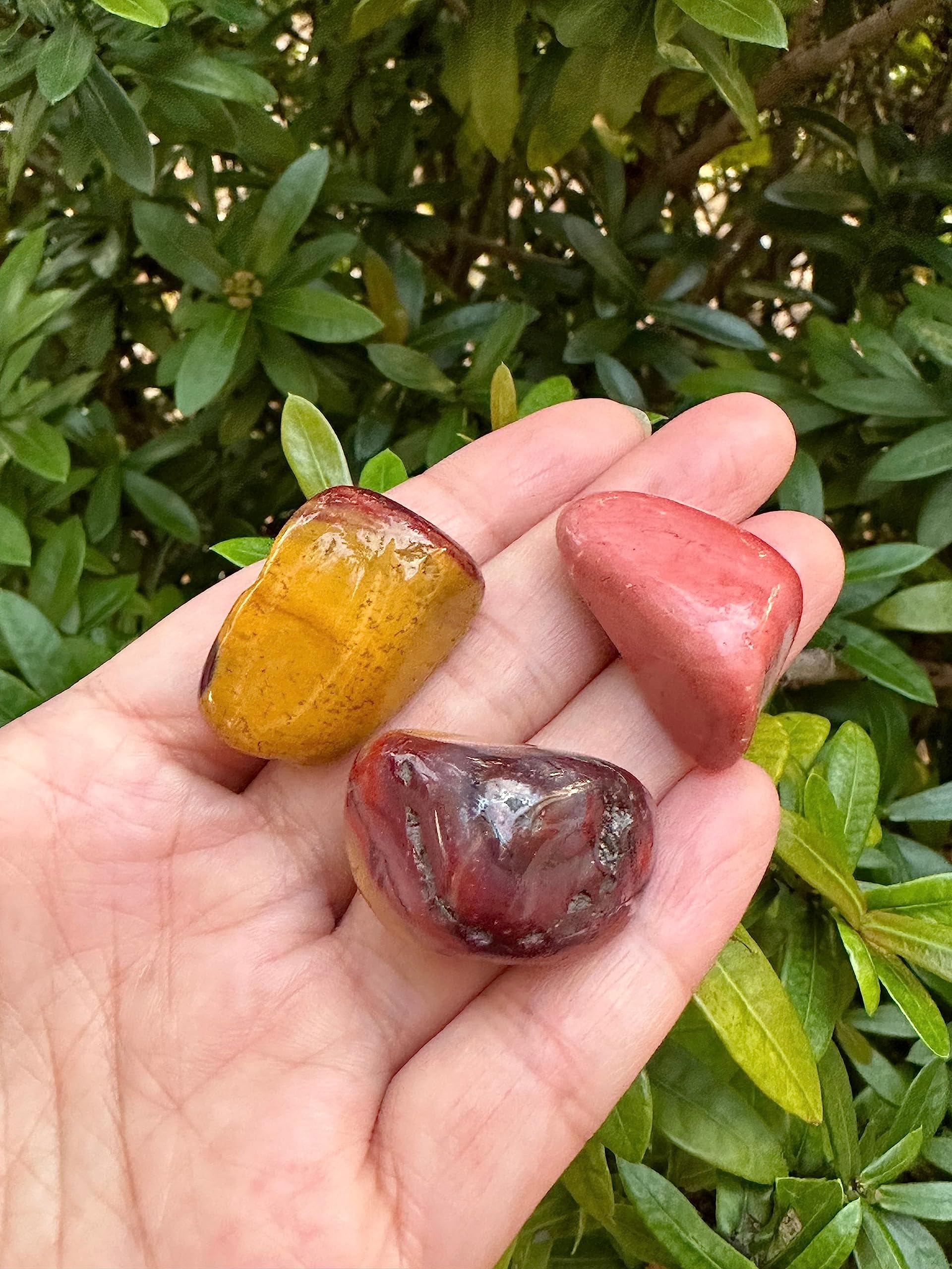 GAF TREASURES Mookaite pierres polies faciles à emporter dans la poche pour calme.