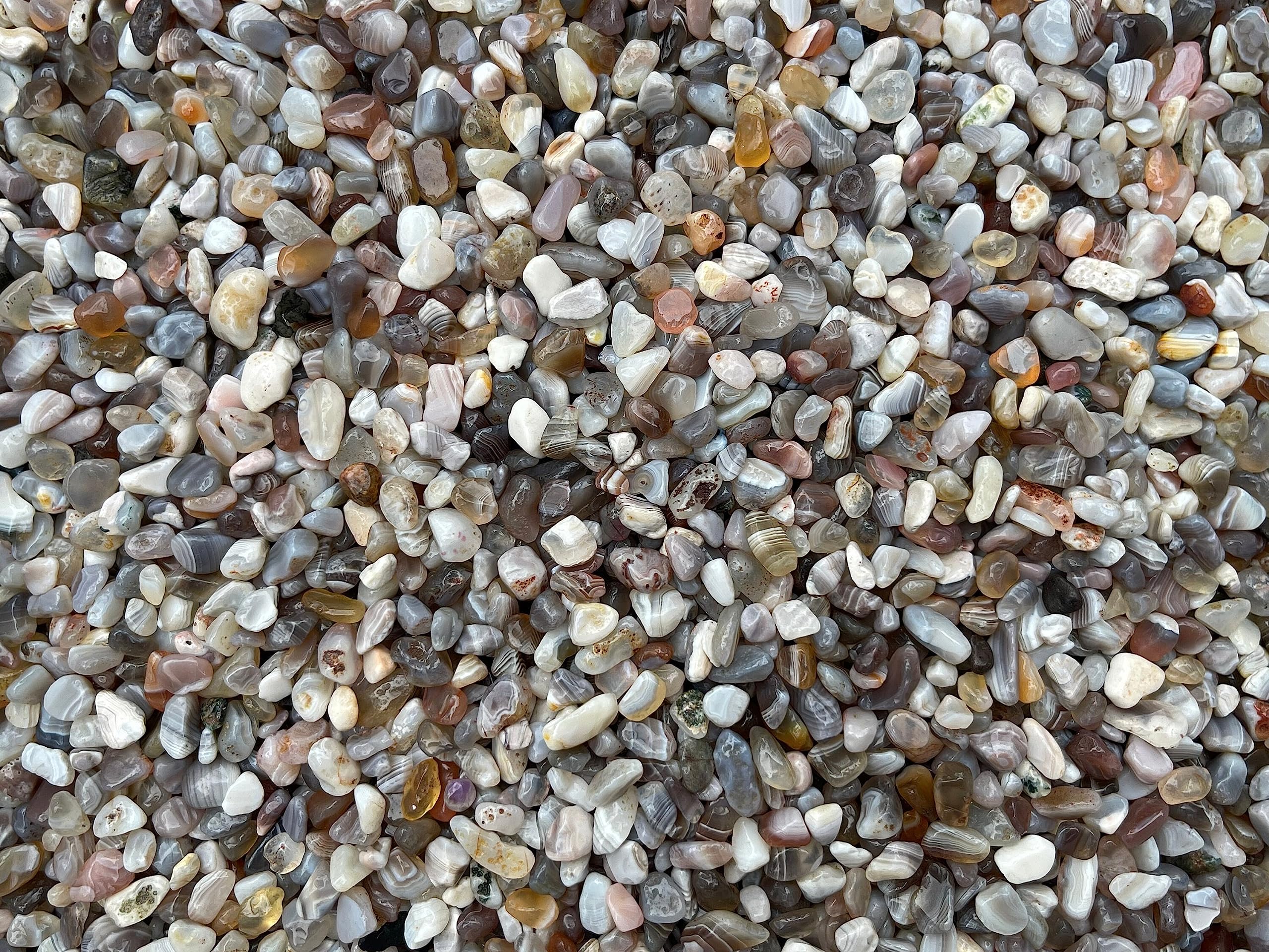 Parfait pour le jardinage décoratif et les projets éducatifs utilisant des pierres naturelles.