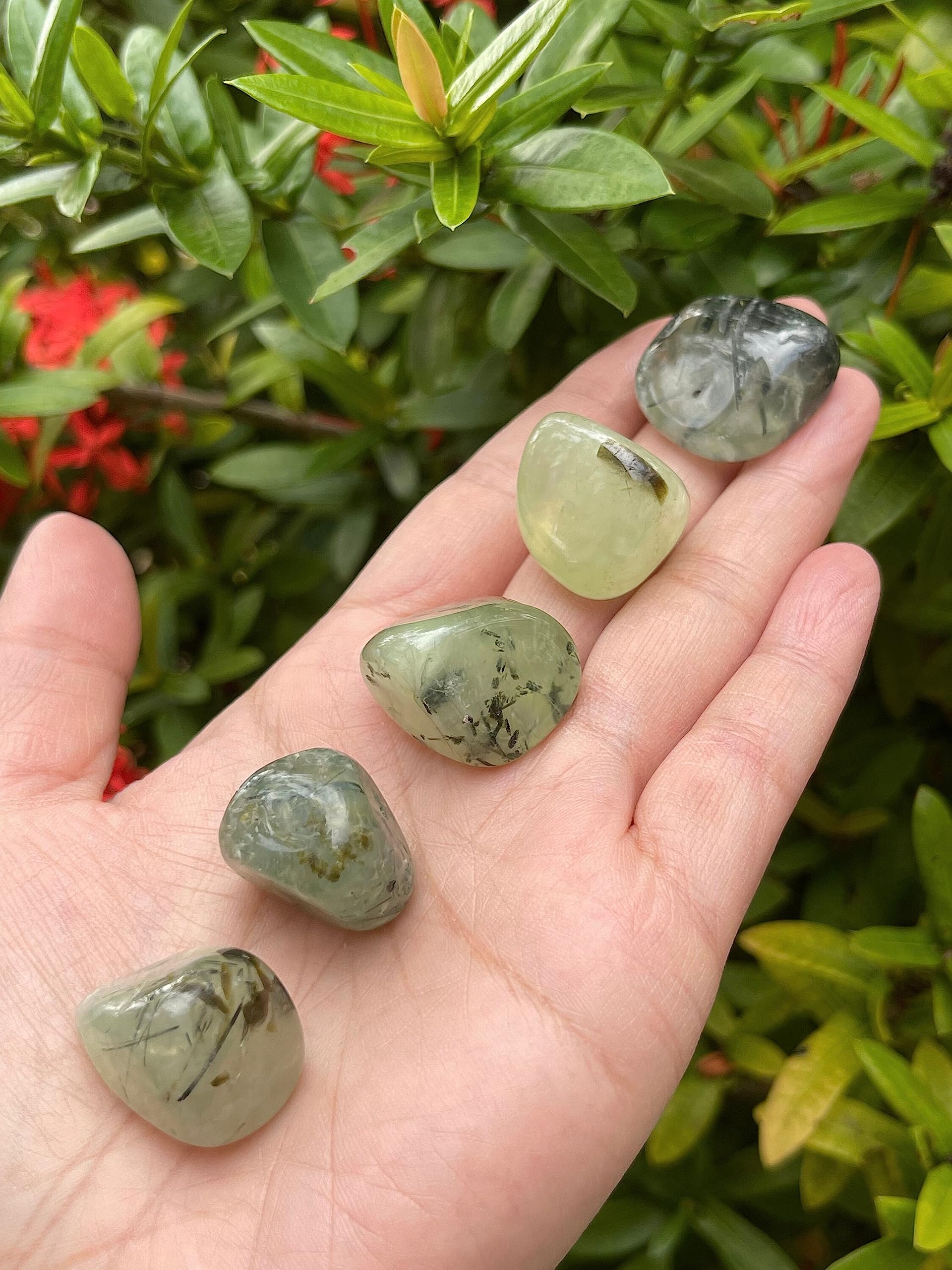 GAF TREASURES Prehnite Rutile – pierre verte facilitant concentration et clarté